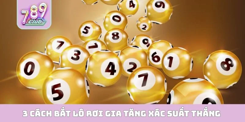Cách Bắt Lô Rơi - Thủ Thuật Đầu Tư Kiếm Tiền Tỷ Nhanh Chóng 3 cách bắt lô rơi gia tăng xác suất thắng