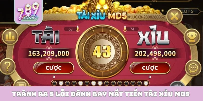 Tránh ra 5 lỗi đánh bay mất tiền tài xỉu MD5